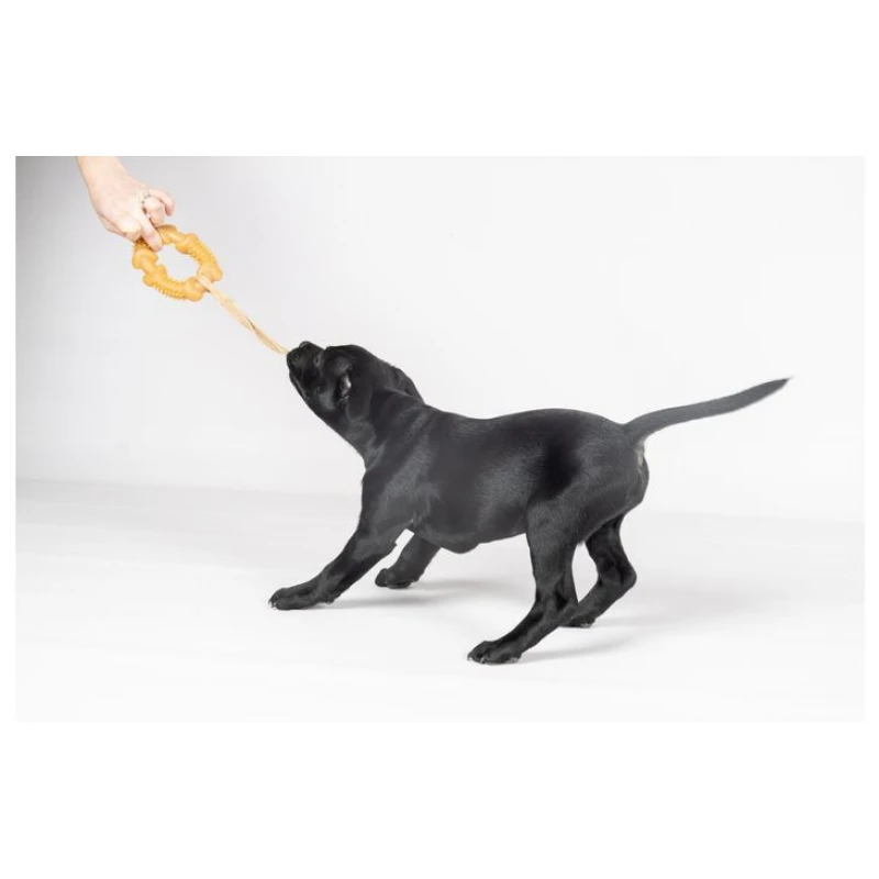 Παιχνίδι Σκύλου Flamingo Guma Rubber Ring with Rope 25,5x11,8x2,8cm Καφέ Σκύλοι