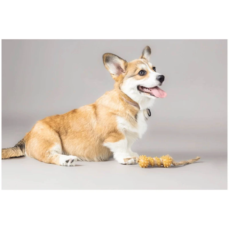 Παιχνίδι Σκύλου Flamingo Guma Rubber Bone with Rope 32x5,5x4cm Καφέ Σκύλοι