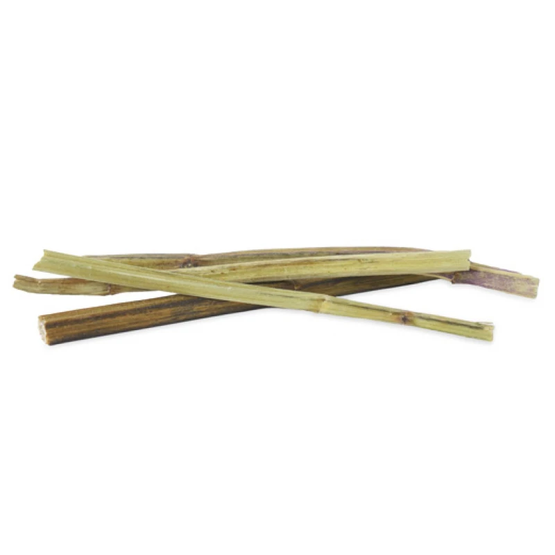Rosewood Naturals Catnip Sticks για Γάτες Γάτες