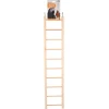 Σκάλα για Παπαγάλους Flamingo Escada Ladder Light brown 10 Steps 19,3x2,2x96cm Πουλιά Σκάλα για Παπαγάλους Flamingo Escada Ladder Light brown 10 Steps 19,3x2,2x96cm Πουλιά