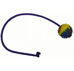 Gappay Μπάλα από μασίφ καουτσούκ 5cm με σκοινί 50cm Gappay Μπάλα από μασίφ καουτσούκ 5cm με σκοινί 50cm