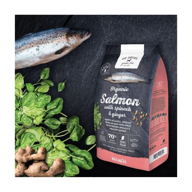 Go Native Dog Organic Salmon 12kg ΣΚΥΛΟΙ