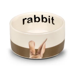 Glee Κεραμικό Μπολ για Τρωκτικά Bunny Καφέ / Λευκό One Size 160ml Glee Κεραμικό Μπολ για Τρωκτικά Bunny Καφέ / Λευκό One Size 160ml