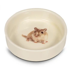 Glee Κεραμικό Μπολ για Τρωκτικά Hamster One Size 125ml Glee Κεραμικό Μπολ για Τρωκτικά Hamster One Size 125ml