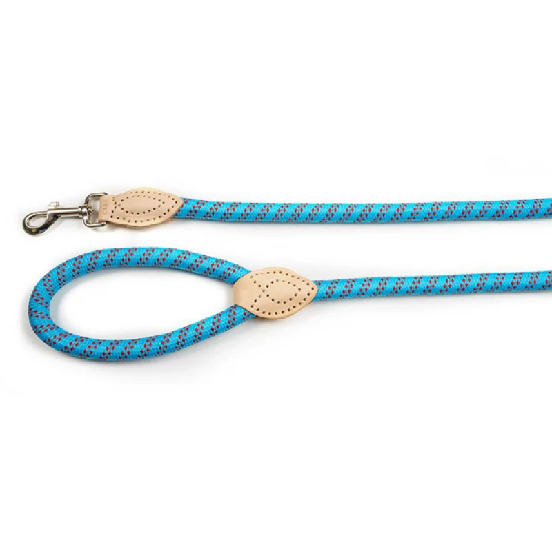 Λουρί, Οδηγός Σκύλου Glee Blue 18mmx120cm Σκύλοι