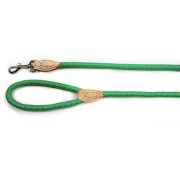 Λουρί, Οδηγός Σκύλου Glee Green 15mmx180cm