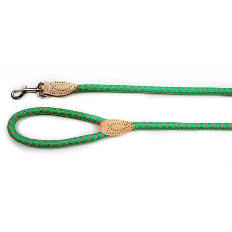 Λουρί, Οδηγός Σκύλου Glee Green 18mmx120cm Σκύλοι Λουρί, Οδηγός Σκύλου Glee Green 18mmx120cm Σκύλοι