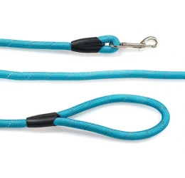 Λουρί, Οδηγός Σκύλου Glee Round Light Blue L 12mmx183cm Λουρί, Οδηγός Σκύλου Glee Round Light Blue L 12mmx183cm