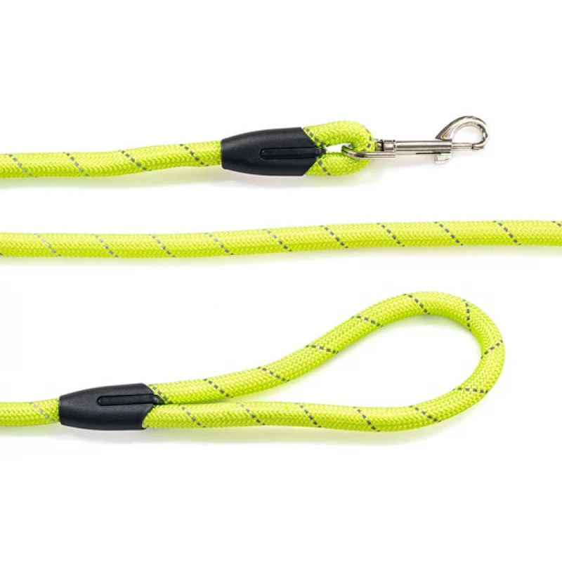Λουρί, Οδηγός Σκύλου Glee Round Light Green S 08mmx122cm Σκύλοι