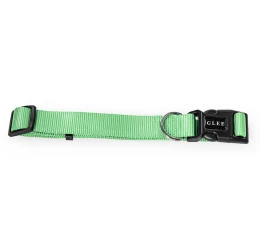 Περιλαίμιο Σκύλου Glee Μονό M 20mmx41-56cm Πράσινο