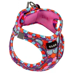 Σαμαράκι Σκύλου Glee Ballons Fuchsia 2XS (Λαιμός: 24-28cm, Στήθος: 28-32cm) Σαμαράκι Σκύλου Glee Ballons Fuchsia 2XS (Λαιμός: 24-28cm, Στήθος: 28-32cm)