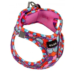 Σαμαράκι Σκύλου Glee Ballons Fuchsia L (Λαιμός: 42-54cm, Στήθος: 48-54cm) Σαμαράκι Σκύλου Glee Ballons Fuchsia L (Λαιμός: 42-54cm, Στήθος: 48-54cm)