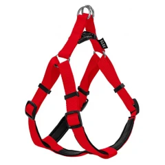 Σαμαράκι Σκύλου Glee με Neoprene L 25mmx71-81cm Κόκκινο Σαμαράκι Σκύλου Glee με Neoprene L 25mmx71-81cm Κόκκινο