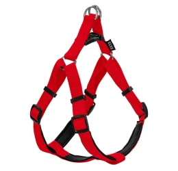 Σαμαράκι Σκύλου Glee με Neoprene S 16mmx41cm-51cm Κόκκινο Σαμαράκι Σκύλου Glee με Neoprene S 16mmx41cm-51cm Κόκκινο