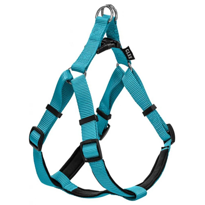 Σαμαράκι Σκύλου Glee με Neoprene XS 10mmx25cm-36cm Πετρόλ Σκύλοι Σαμαράκι Σκύλου Glee με Neoprene XS 10mmx25cm-36cm Πετρόλ Σκύλοι