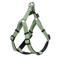 Σαμαράκι Σκύλου Glee με Neoprene XS 10mmx25cm-36cm Πράσινο Σαμαράκι Σκύλου Glee με Neoprene XS 10mmx25cm-36cm Πράσινο