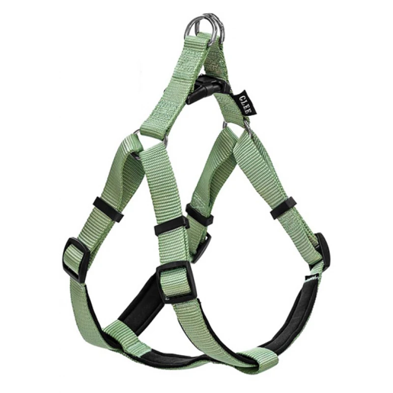 Σαμαράκι Σκύλου Glee με Neoprene S 16mmx41cm-51cm Πράσινο Σκύλοι Σαμαράκι Σκύλου Glee με Neoprene S 16mmx41cm-51cm Πράσινο Σκύλοι