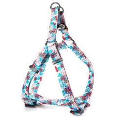 Σαμαράκι Σκύλου Glee Τύπου A Floral M 20mmx35cm-60cm Σαμαράκι Σκύλου Glee Τύπου A Floral M 20mmx35cm-60cm
