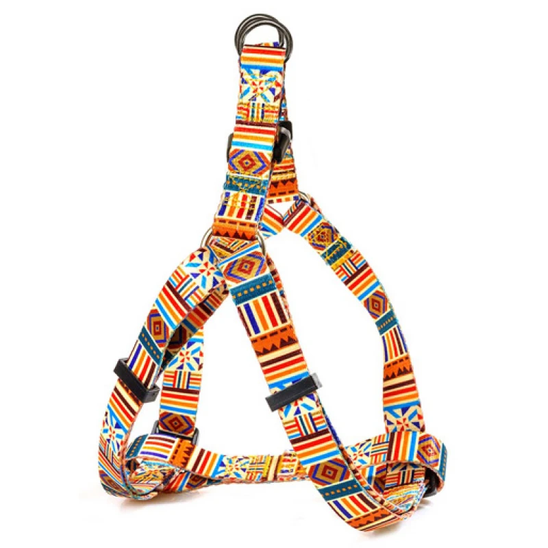 Σαμαράκι Σκύλου Glee Τύπου A Multicolor S 15mmx25cm-45cm Σκύλοι Σαμαράκι Σκύλου Glee Τύπου A Multicolor S 15mmx25cm-45cm Σκύλοι