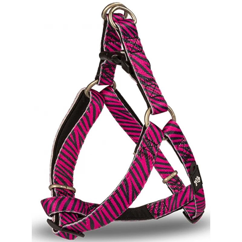 Σαμαράκι Σκύλου Glee Τύπου A Savana Small 20mm x 56-66 cm Σκύλοι