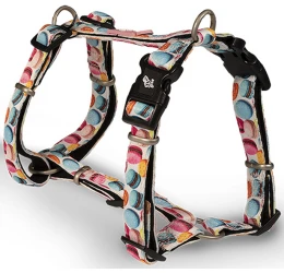 Σαμαράκι Σκύλου Glee Τύπου H Macaron XXSmall 10mm x 32-40 cm