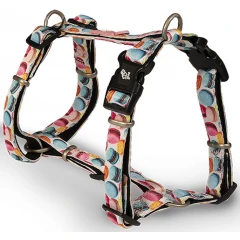 Σαμαράκι Σκύλου Glee Τύπου H Macaron Medium 25mm x 70-90 cm Σαμαράκι Σκύλου Glee Τύπου H Macaron Medium 25mm x 70-90 cm