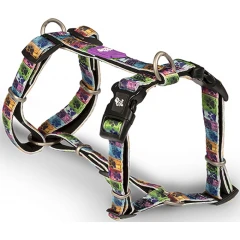 Σαμαράκι Σκύλου Glee Τύπου H Paw Garden Medium 25mm x 70-90 cm Σαμαράκι Σκύλου Glee Τύπου H Paw Garden Medium 25mm x 70-90 cm