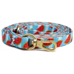 Οδηγός Σκύλου και Γάτας Habby "Watermelon" Small 10mm x 110cm Οδηγός Σκύλου και Γάτας Habby "Watermelon" Small 10mm x 110cm