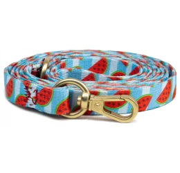 Οδηγός Σκύλου και Γάτας Habby "Watermelon" Small 10mm x 110cm Οδηγός Σκύλου και Γάτας Habby "Watermelon" Small 10mm x 110cm