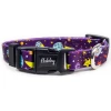 Περιλαίμιο Σκύλου Habby "Galaxy" Medium 15mm x 25-35cm Μωβ