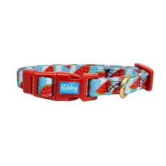 Περιλαίμιο Σκύλου Habby "Watermelon" Puppy Small 1mm x 19-27cm Περιλαίμιο Σκύλου Habby "Watermelon" Puppy Small 1mm x 19-27cm