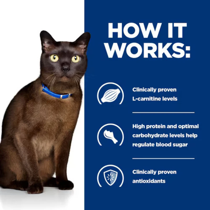 Hill's PD Feline Diabetes Care m/d Γάτας 85gr (Φακελάκι) Γάτες