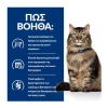 Hill's PD Feline Gastrointestinal Biome Γάτας 85gr (Φακελάκι) Γάτες Hill's PD Feline Gastrointestinal Biome Γάτας 85gr (Φακελάκι) Γάτες