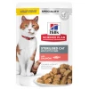 Hill’s Science Plan Sterilized Cat Young Adult Υγρή Τροφή Γάτας με Σολομό 85gr (Φακελάκι) Γάτες Hill’s Science Plan Sterilized Cat Young Adult Υγρή Τροφή Γάτας με Σολομό 85gr (Φακελάκι) Γάτες