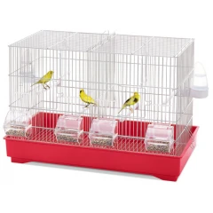 Imac Ζευγαρώστρα Πτηνών Cova 55 Κόκκινο 58x31x40cm