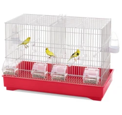 Imac Ζευγαρώστρα Πτηνών Cova 55 Κόκκινο 58x31x40cm