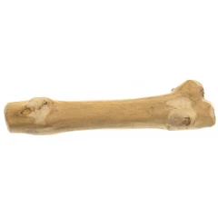 Παιχνίδι, Ξύλο Μάσησης για Σκύλους Imac Java Bone Small 15cm