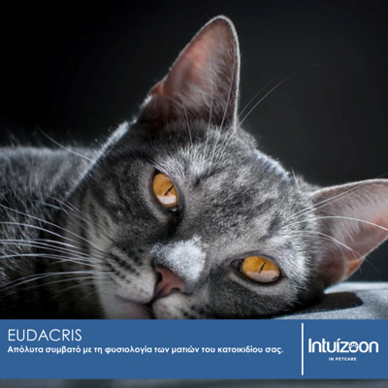 Intuizoon Eudacris Lotion Οφθαλμικές Σταγόνες & Καθαριστικό για Σκύλους και Γάτες 125ml Σκύλοι
