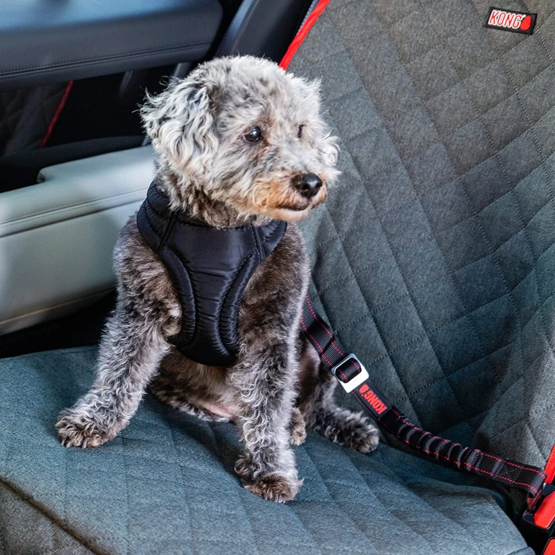 Kong Deluxe Swivel Tether Λουράκι - Ζώνη ασφαλείας Αυτοκινήτου για Σκύλους με ειδική απορρόφηση κραδασμών. ΣΚΥΛΟΙ