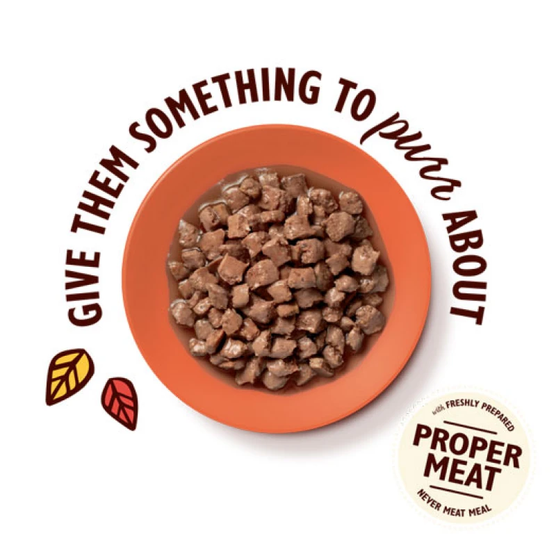 Υγρή Τροφή Γάτας Lily's Kitchen Tasty Cuts in Gravy Multipack (8 x 85gr) Γάτες