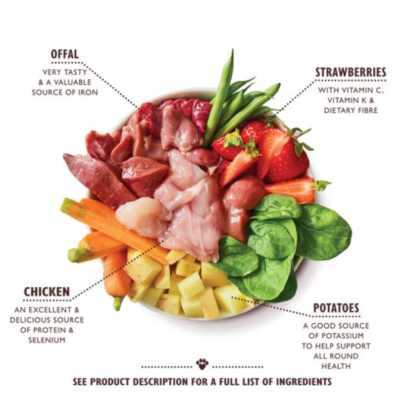 Υγρή Τροφή Σκύλου Lily's Kitchen An English Garden Party 400gr Σκύλοι