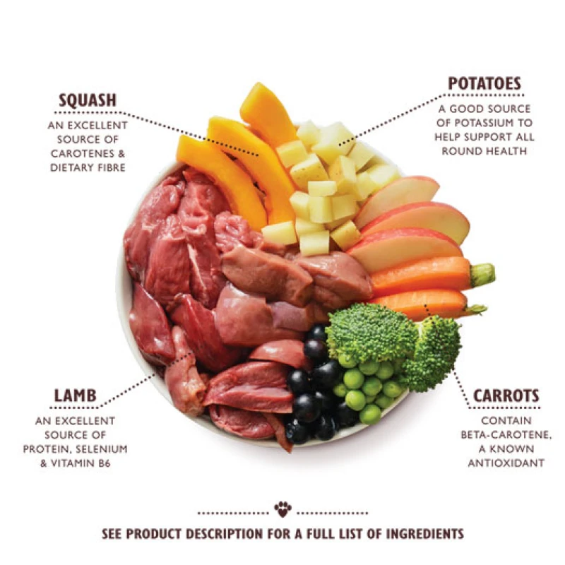 Υγρή Τροφή Σκύλου Lily's Kitchen Lamb Hotpot 400gr Σκύλοι