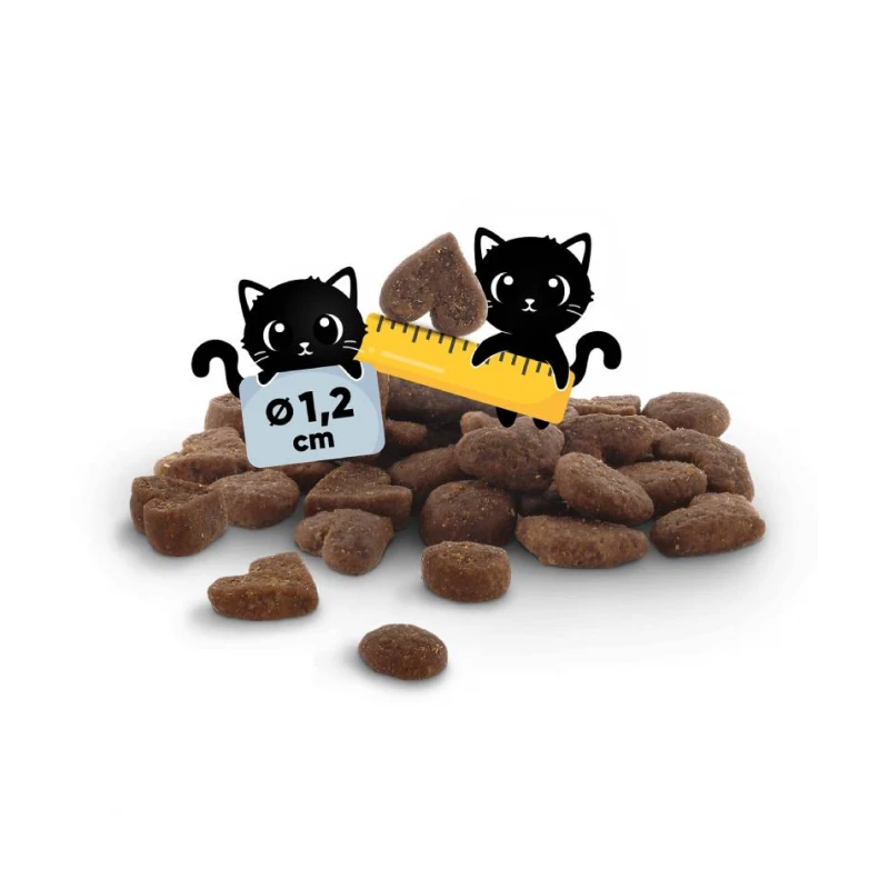 Lucky Lou Food Code SuperMono Πέστροφα & SuperFoods 340gr Γάτες Lucky Lou Food Code SuperMono Πέστροφα & SuperFoods 340gr Γάτες