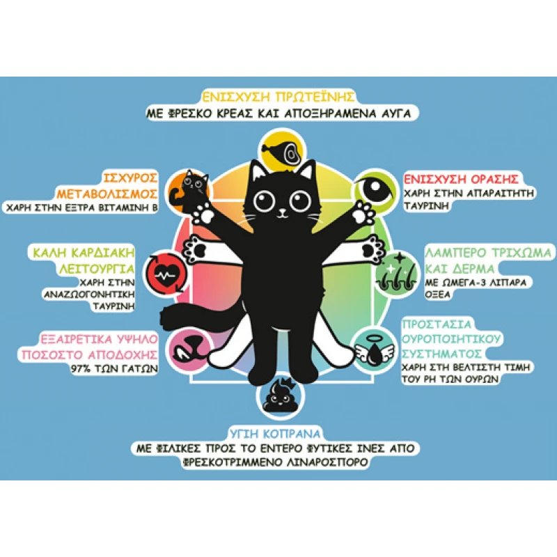 Lucky Lou Food Code Adult Cat Πουλερικά & Φρέσκος Σολομός 3kg Γάτες