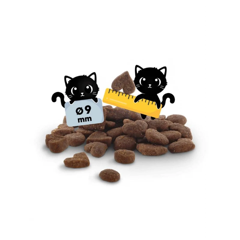 Lucky Lou Food Code Kitten Πουλερικά & Φρέσκο Κοτόπουλο 340gr Γάτες Lucky Lou Food Code Kitten Πουλερικά & Φρέσκο Κοτόπουλο 340gr Γάτες