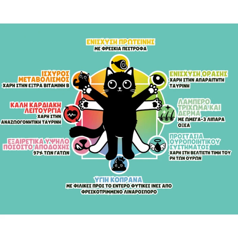 Lucky Lou Food Code SuperMono Πέστροφα & SuperFoods 340gr Γάτες Lucky Lou Food Code SuperMono Πέστροφα & SuperFoods 340gr Γάτες