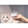 M-Pets Soft Massage Χτένα με Αιχμηρά Δόντια 8x5,4cm Μπλε Σκύλοι M-Pets Soft Massage Χτένα με Αιχμηρά Δόντια 8x5,4cm Μπλε Σκύλοι