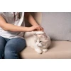M-Pets Soft Massage Χτένα με Αιχμηρά Δόντια 8x5,4cm Ροζ Σκύλοι M-Pets Soft Massage Χτένα με Αιχμηρά Δόντια 8x5,4cm Ροζ Σκύλοι