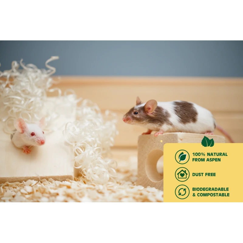 Υλικό Φωλιάς τρωκτικών Millamore Nesting Pads 8τμχ ΜΙΚΡΑ ΖΩΑ - ΚΟΥΝΕΛΙΑ