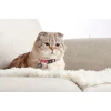 Περιλαίμιο Γάτας  Max & Molly Strawberry Dream Cat 1x22-35cm ΓΑΤΕΣ